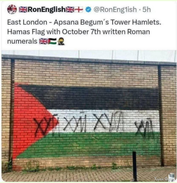 1755124019888.png