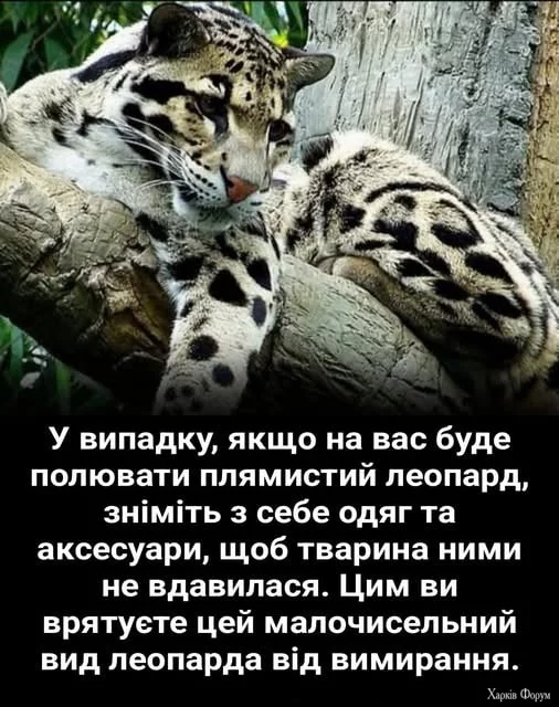 1755288876049.webp