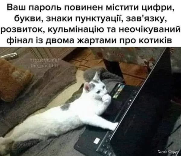 1755288923636.webp