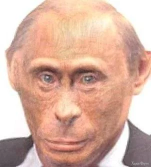 1755289154928.webp