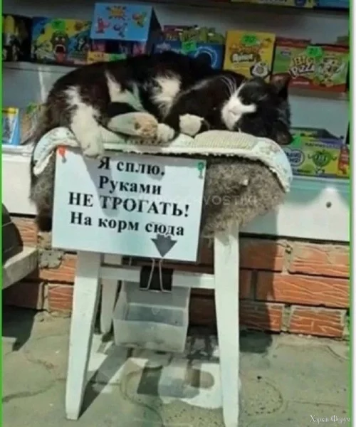 1755302683045.webp