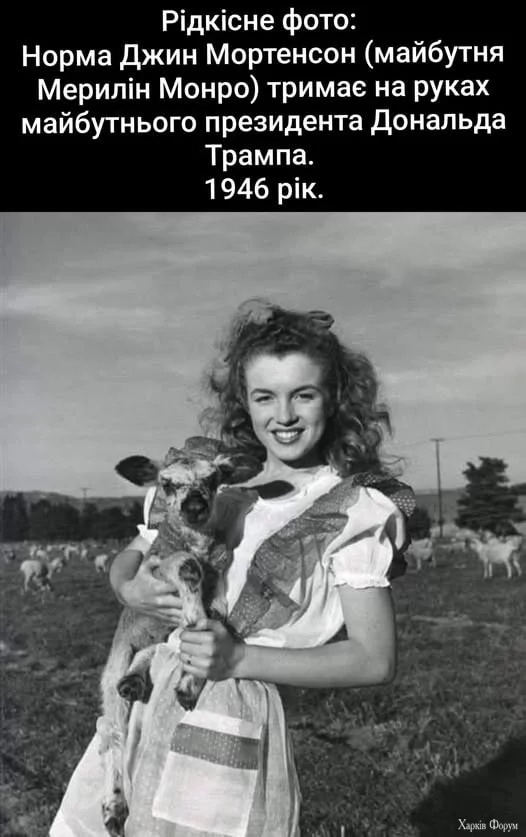 1755351116433.webp
