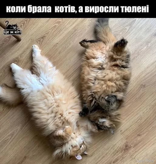 1755369324030.webp