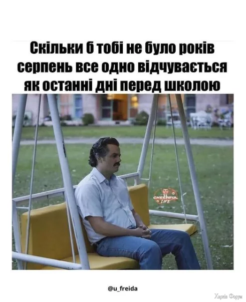 1755437082472.webp