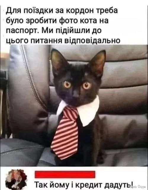 1755449063266.webp