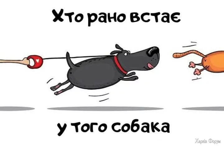 1755630320424.webp