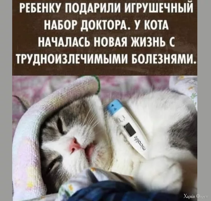 1755637060296.webp