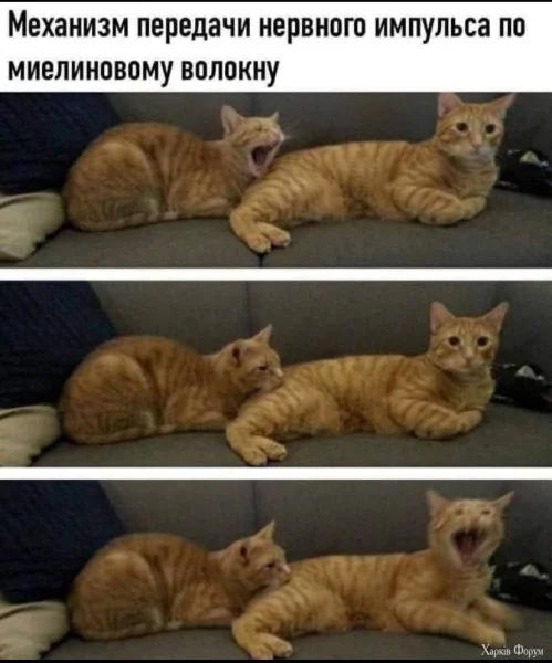 1755642015340.webp