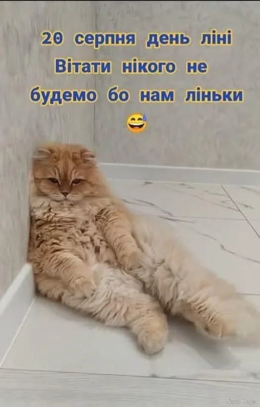1755679527350.webp