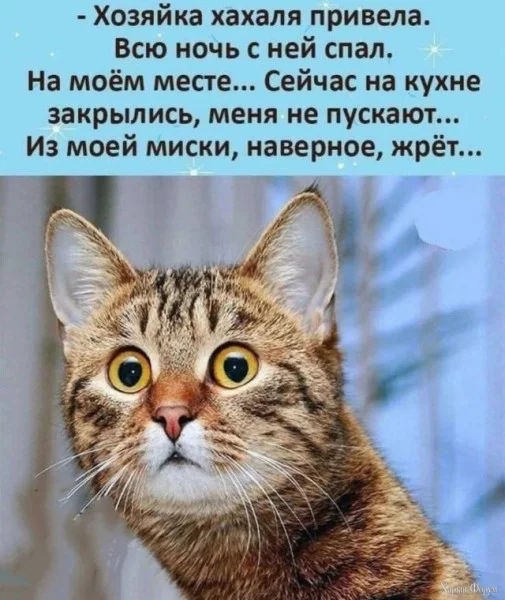 1755731625151.png