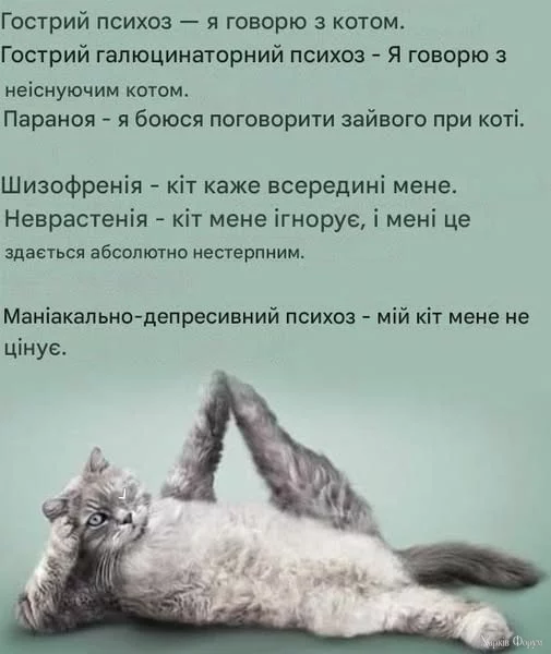 1755787923996.webp