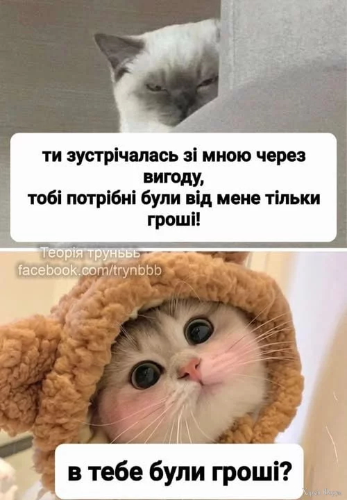 1755798708737.webp