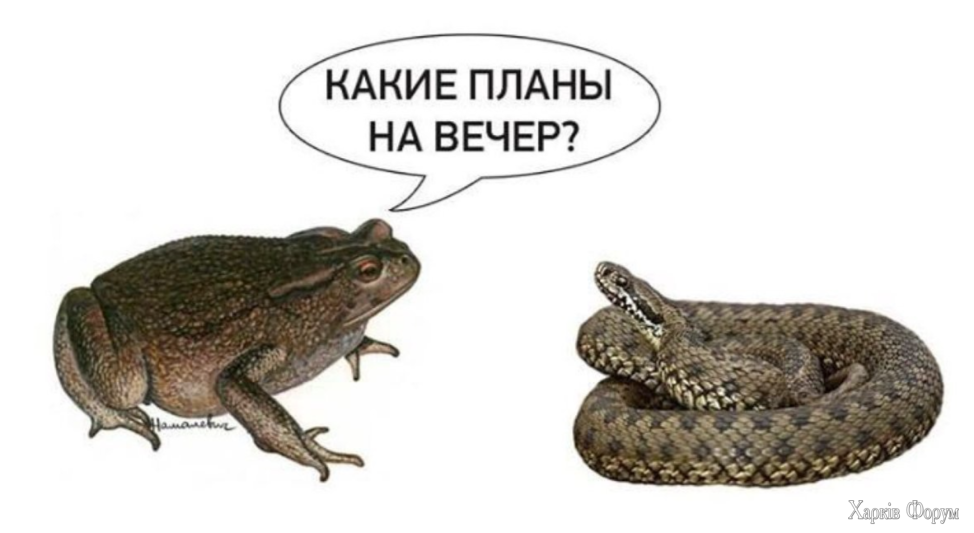 какие планы на вечер