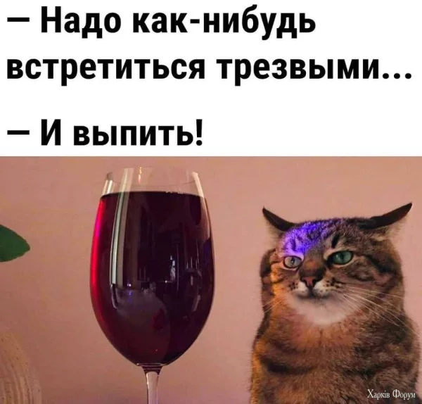 1755901516588.webp