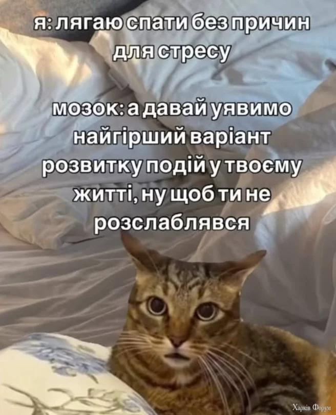 1755950911596.webp