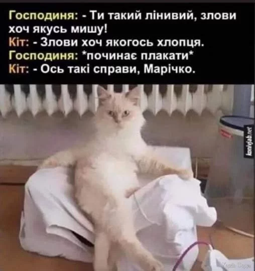 1755952370821.webp