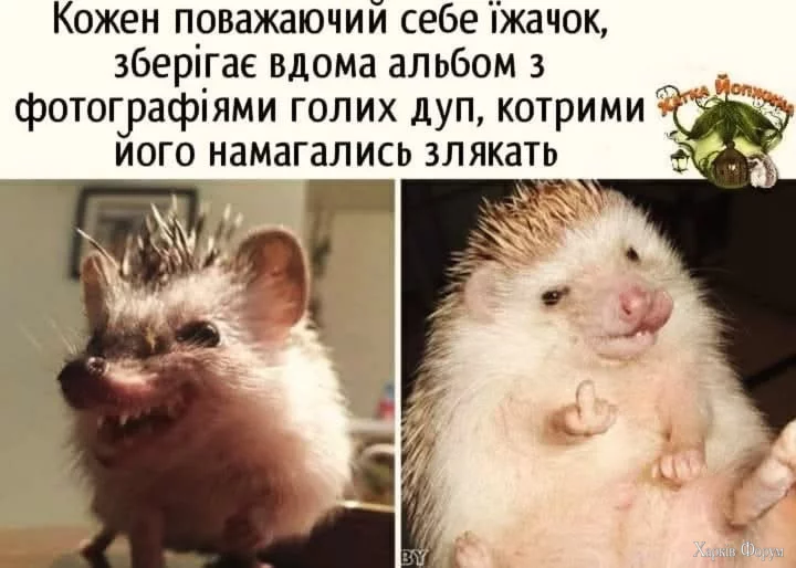 1755960112758.png