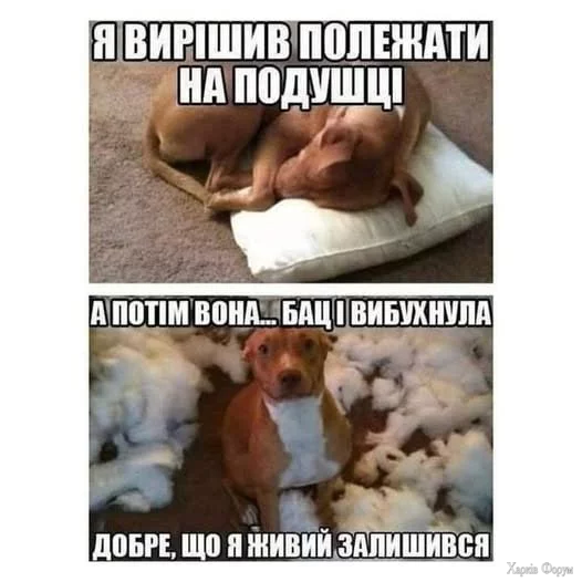 1756051596515.webp