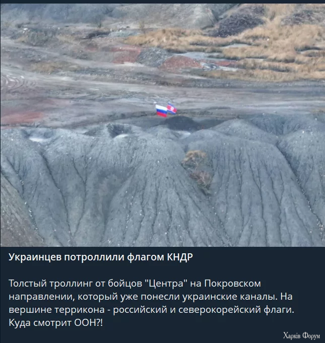1756119322409.webp