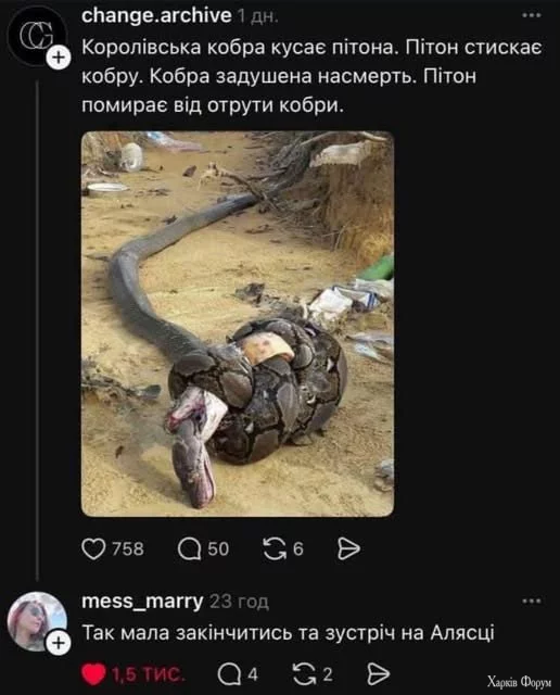 1756157892570.webp