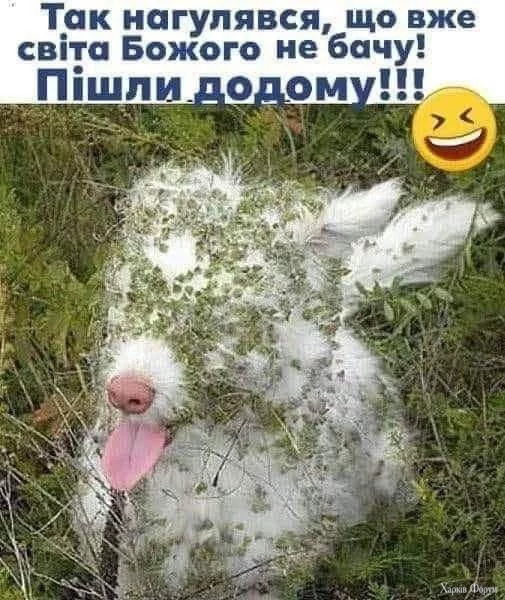 1756158010626.webp