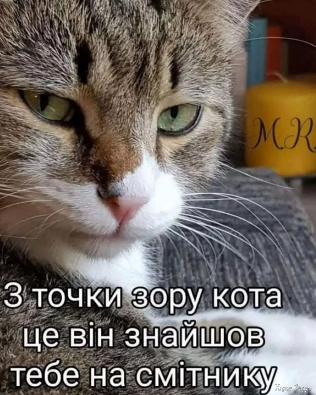 1756201174663.webp