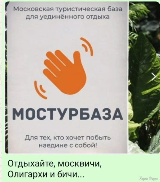 1756244267229.webp