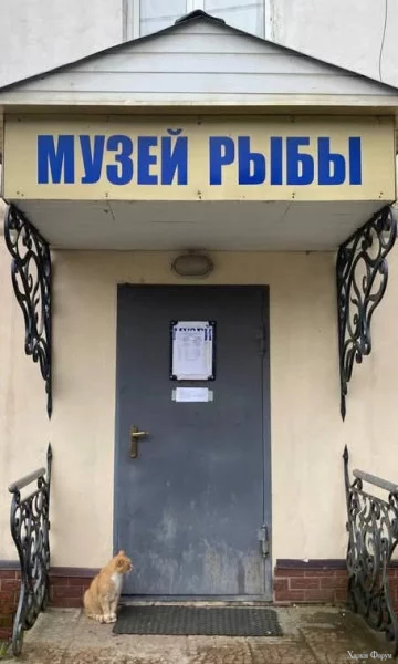 1756244383900.webp