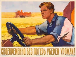 1756282936535.webp