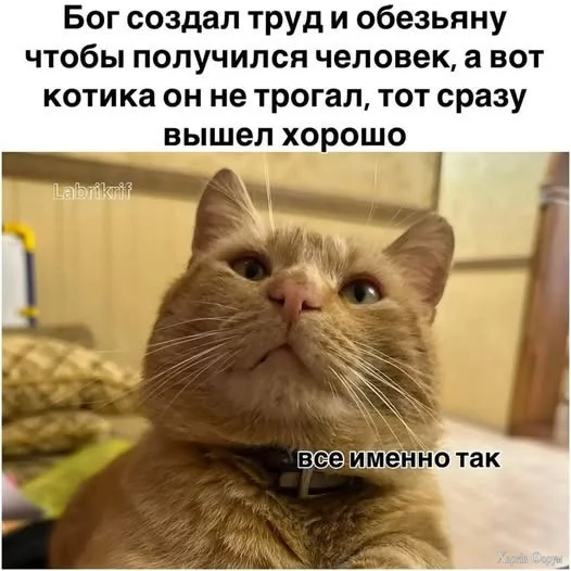 1756424043267.webp