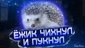 1756497673133.webp