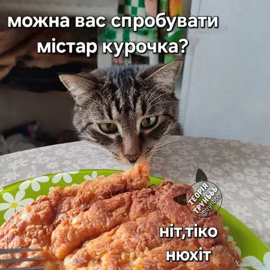 1756644296679.webp
