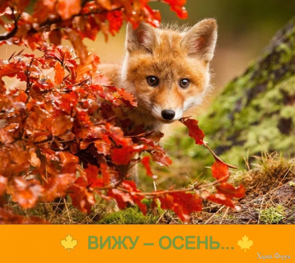 1756671995243.webp
