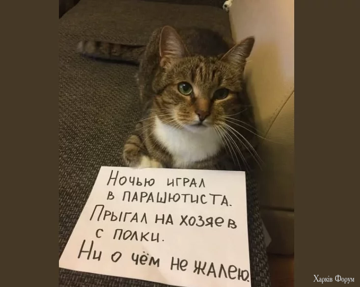 1756756096145.webp