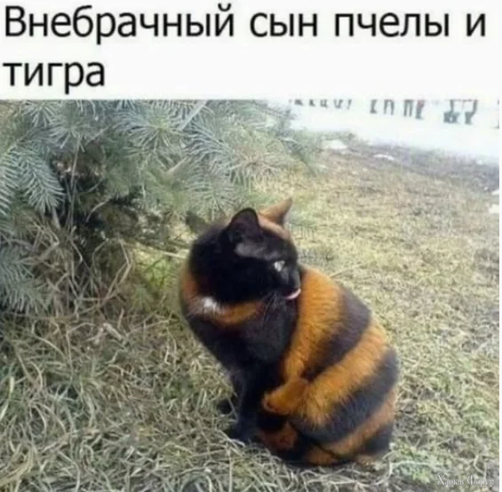 1756850693597.webp