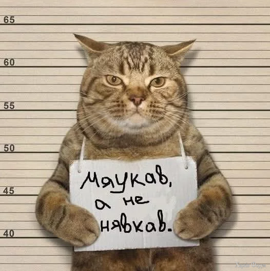 1756903347366.webp