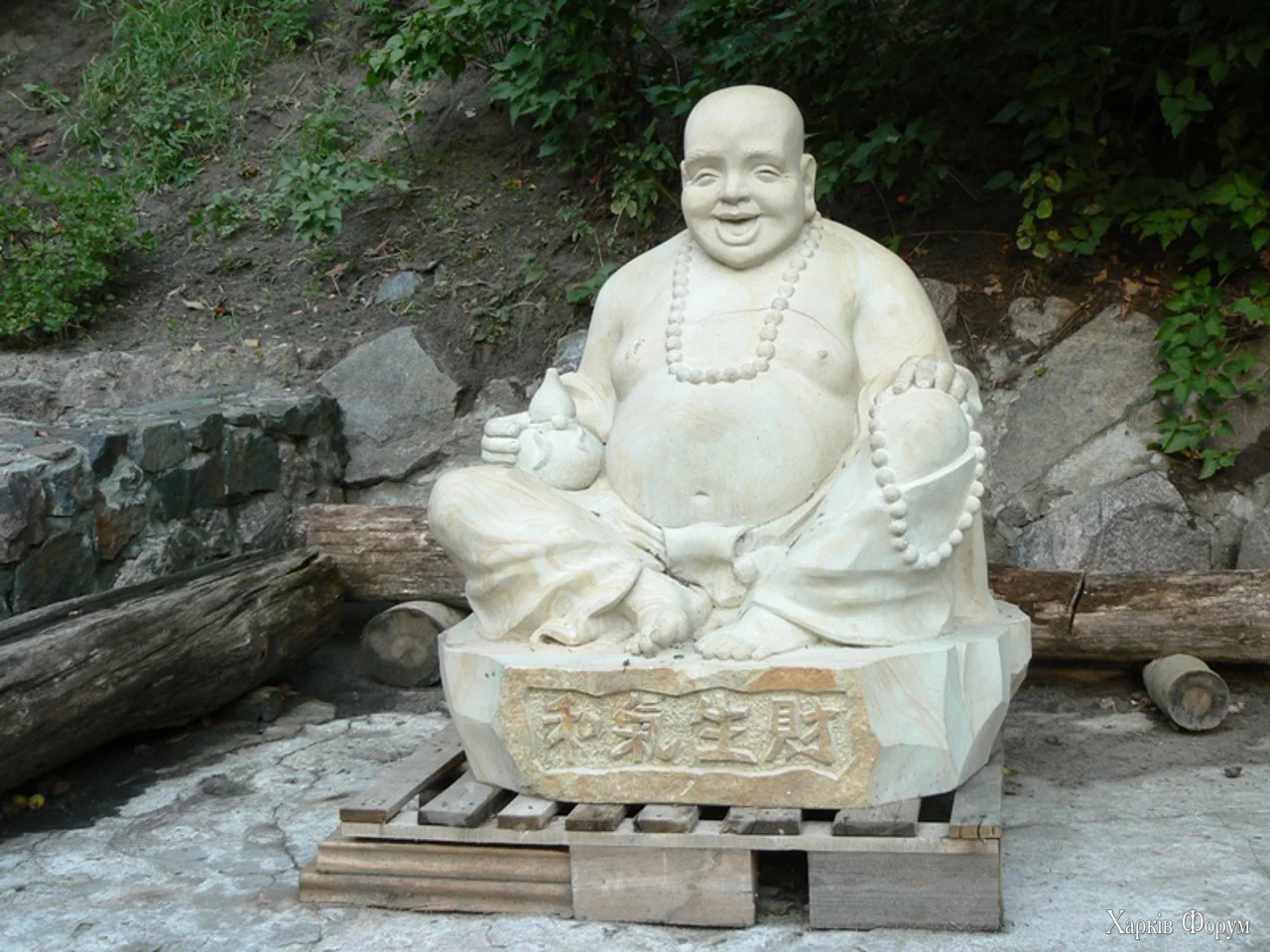 1757010183506.webp