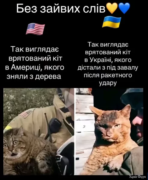 1757194715643.webp