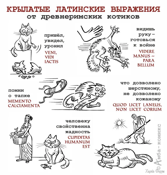 1757209884953.webp