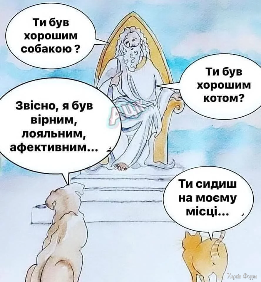 1757233081649.webp