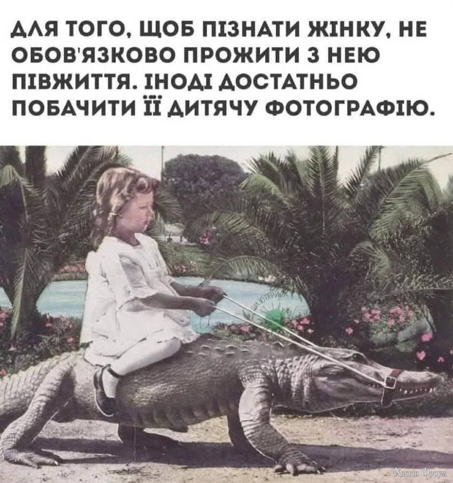 1757238624960.webp