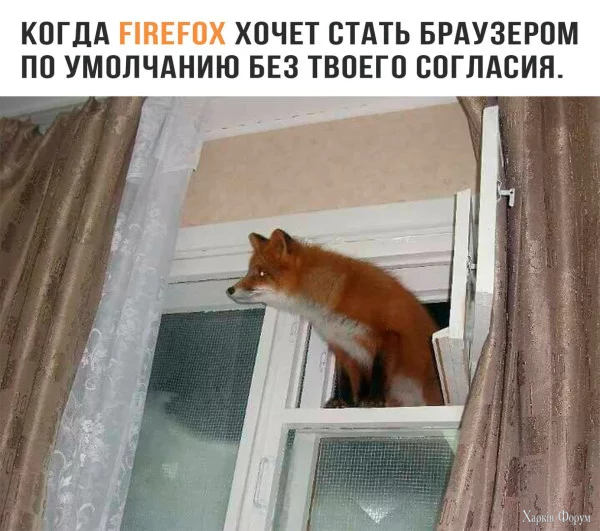 1757285814458.webp