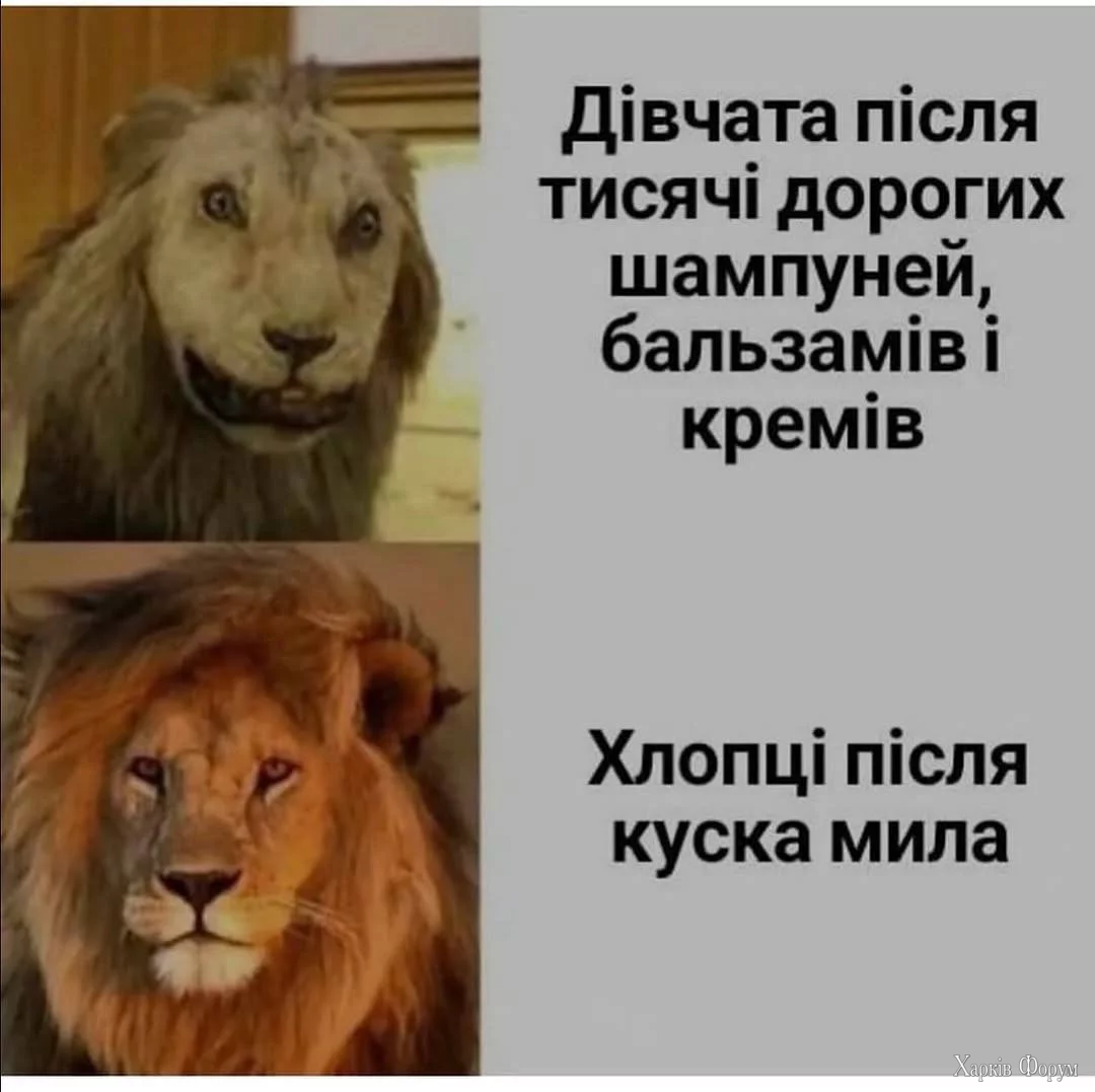 1757347532745.webp