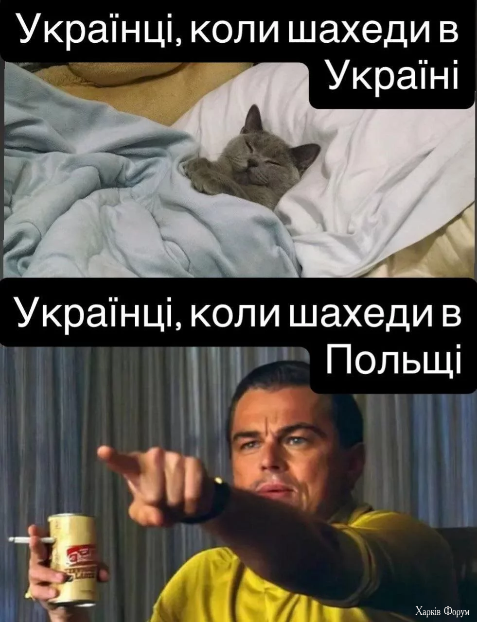 1757536083888.webp