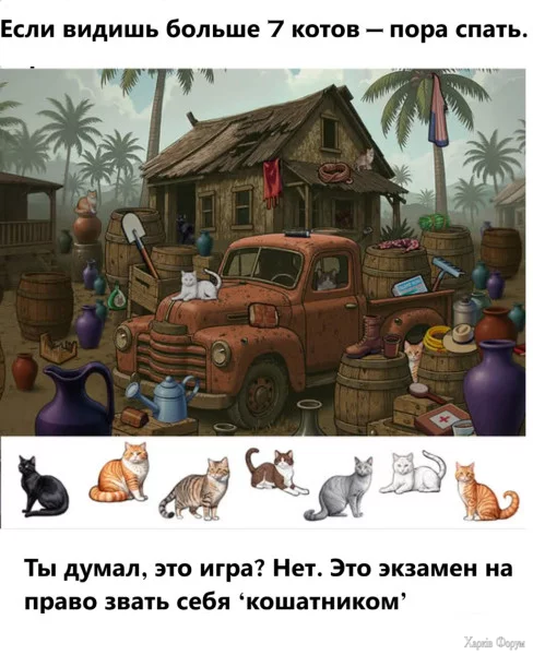 1757632423868.webp