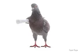 1757700468378.webp
