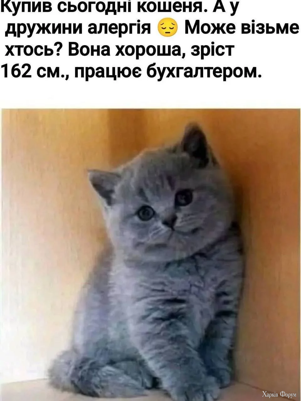 1757830102793.webp
