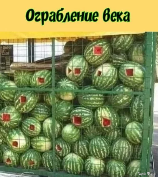 1757885934491.webp