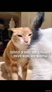 1758024879122.webp