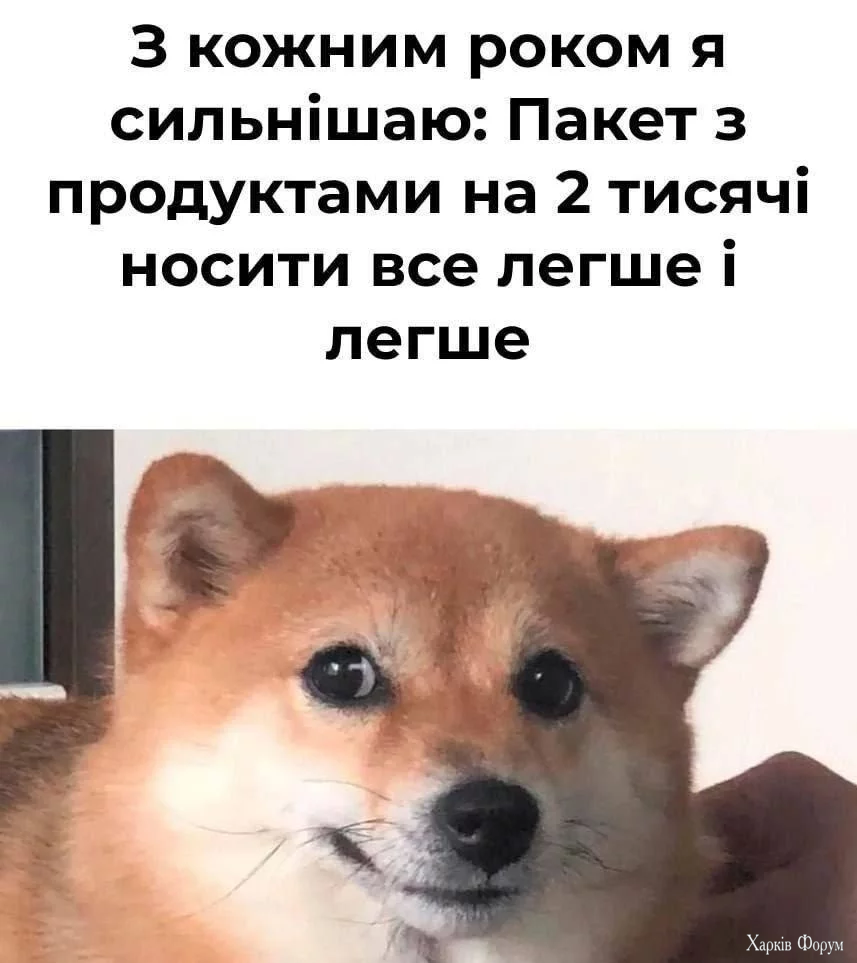 1758177506832.webp